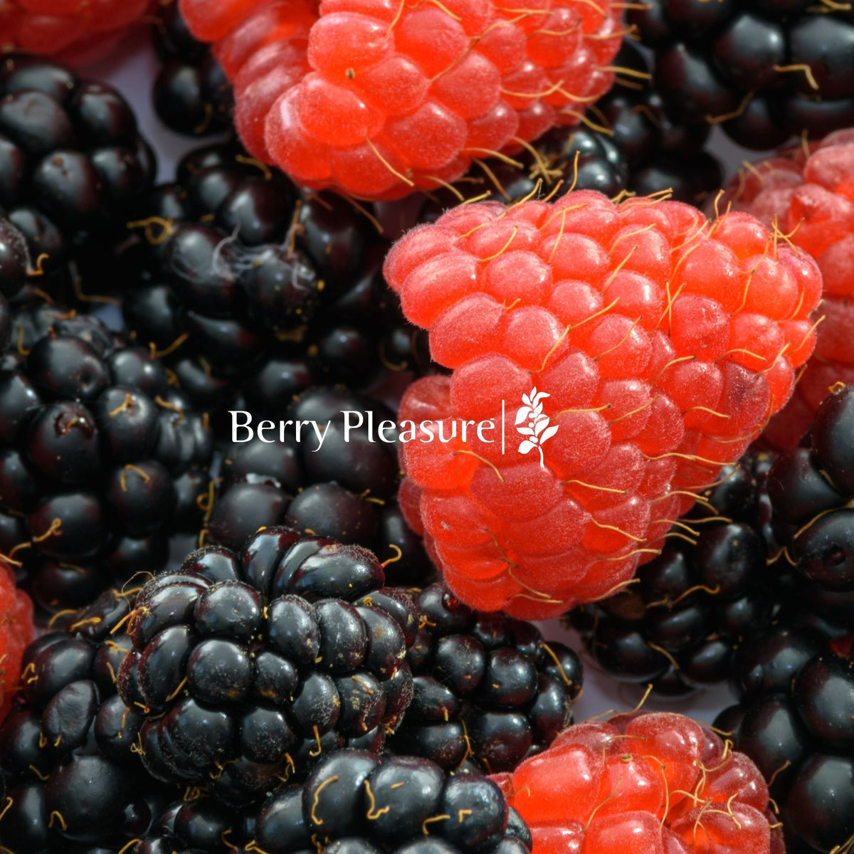 Berry Pleasure - 250g