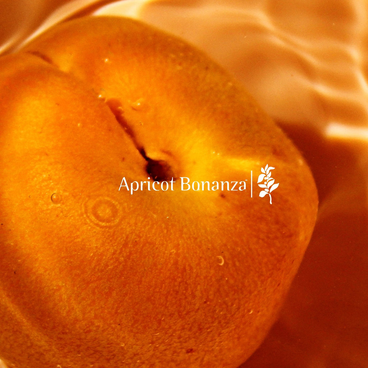 Apricot Bonanza 250g